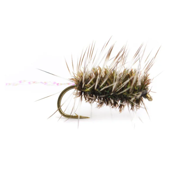 fishline202606090651443364331