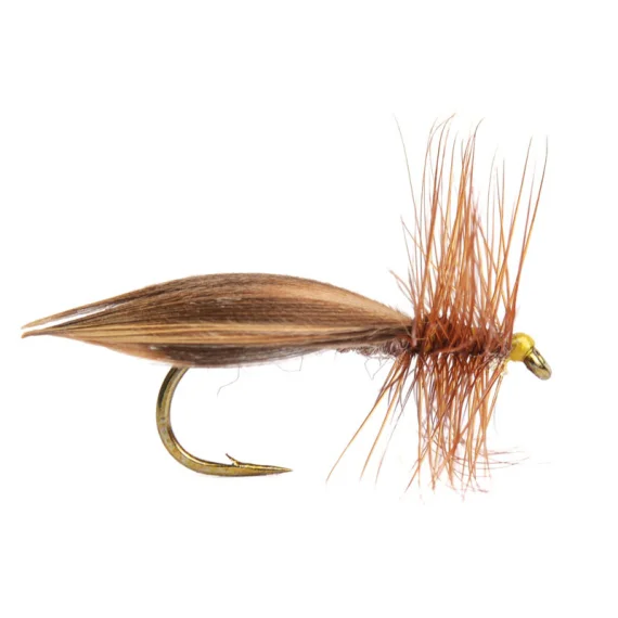 fishline202606090656143364393