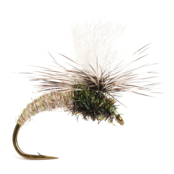 fishline202606090656203364395