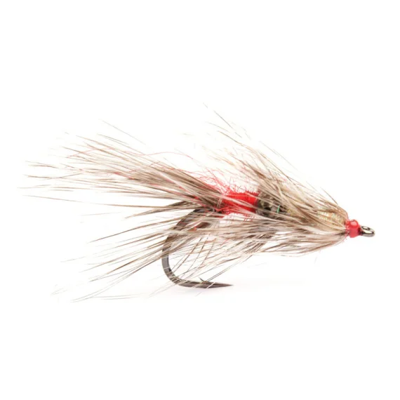 fishline202606090702163364486