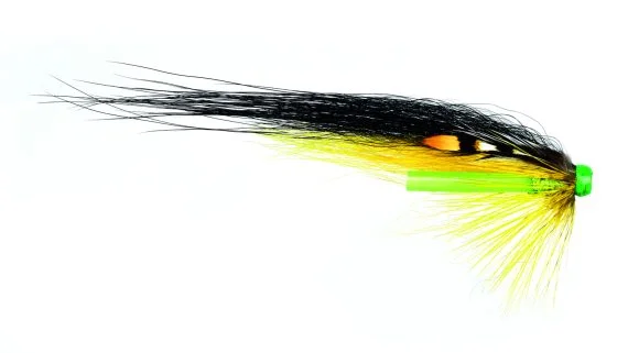 fishline202606090703483364509