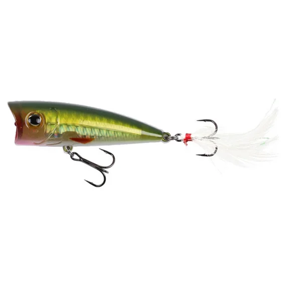 fishline202606090715203364671