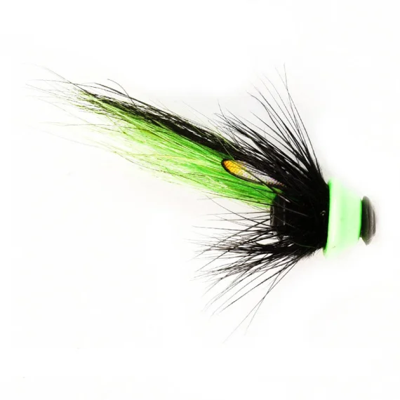fishline202606090722093364763