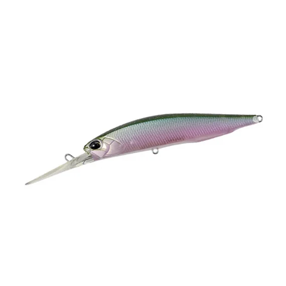 fishline202606090725493364812