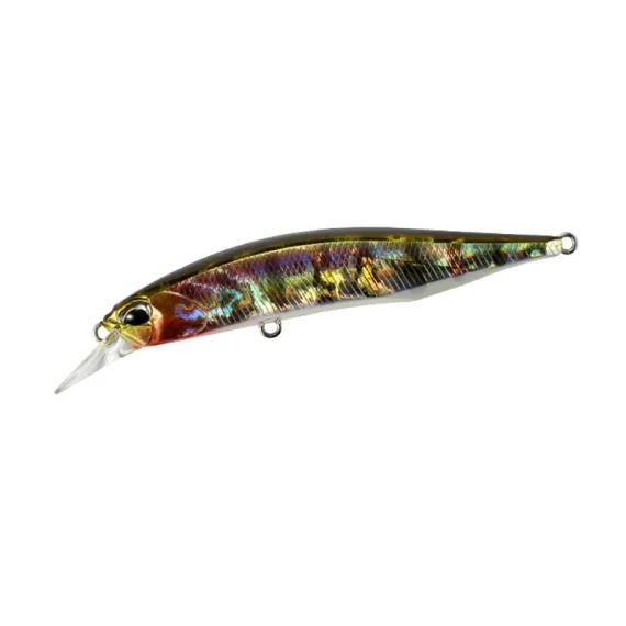 fishline202606090726053364817
