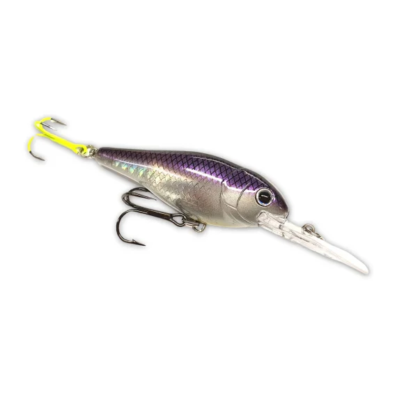 fishline202606090752343365185