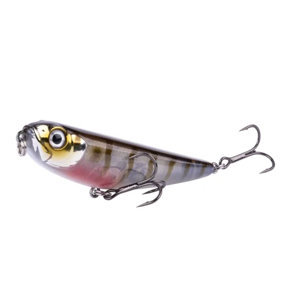 fishline202606090815523365524