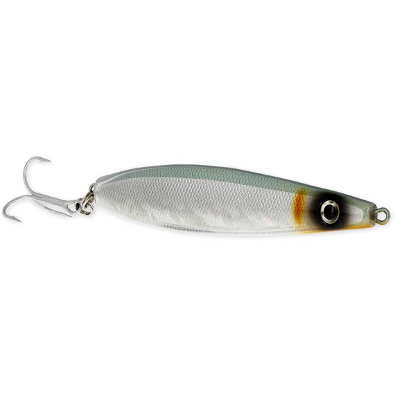 fishline202606090818093365558