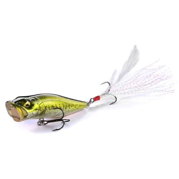 fishline202606090835113365781