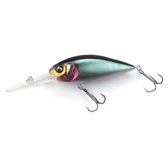 fishline202606090835173365782