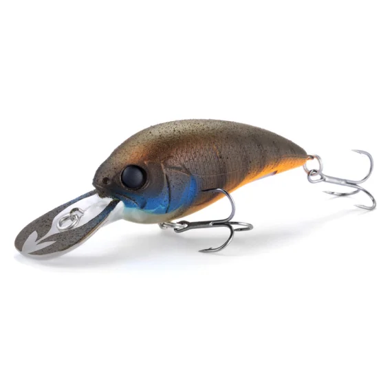 fishline202606090837053365805