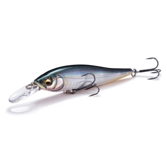 fishline202606090839223365828