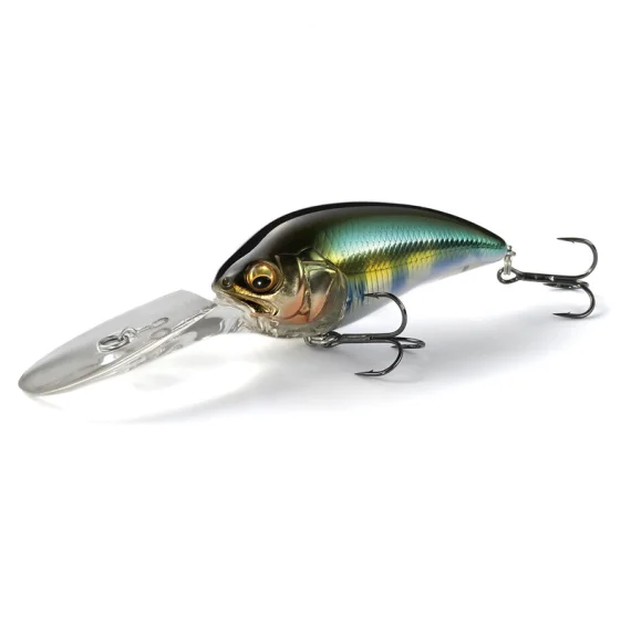 fishline202606090839233365829