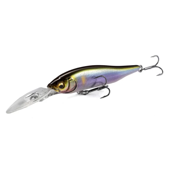 fishline202606090839493365834