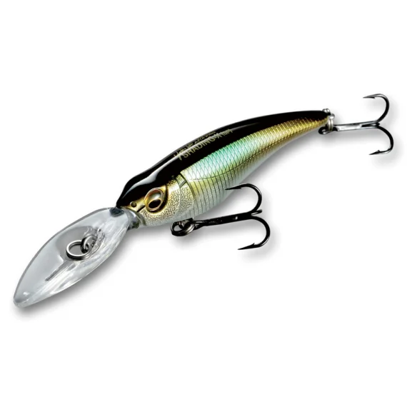 fishline202606090842093365859