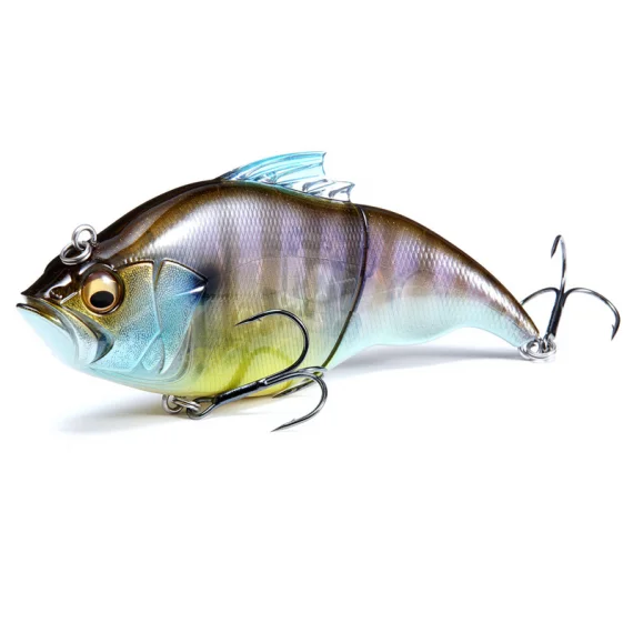 fishline202606090842213365863