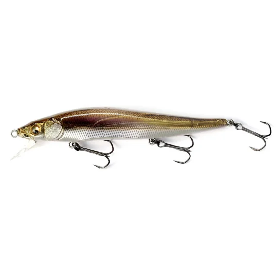 fishline202606090842313365864