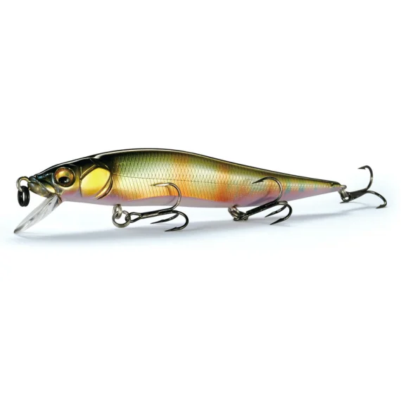 fishline202606090842393365865