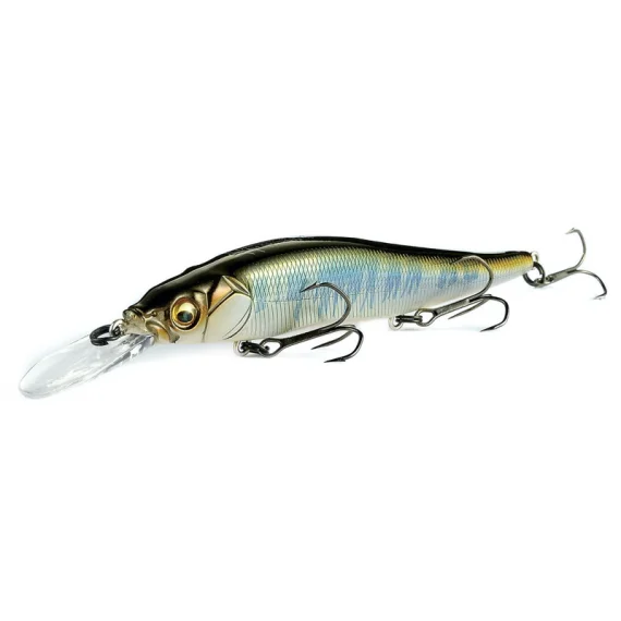 fishline202606090842413365866
