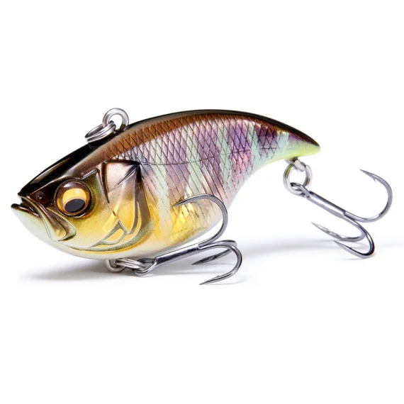 fishline202606090842513365868