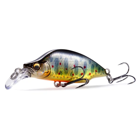 fishline202606090845213365895