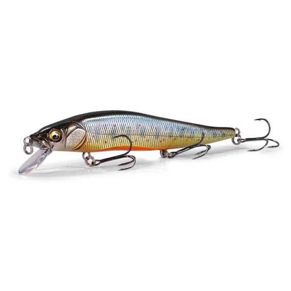 fishline202606090845373365897