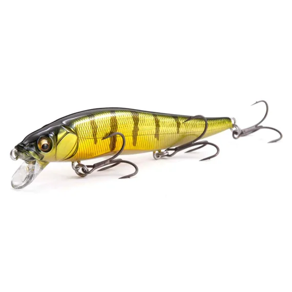 fishline202606090845493365898