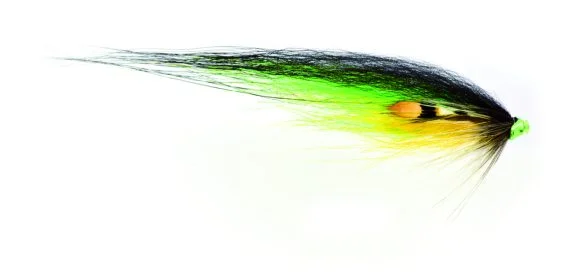 fishline202606090908313369700