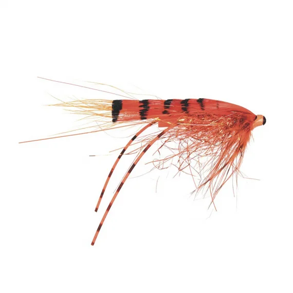 fishline202606090908373369723