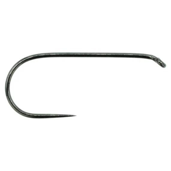 fishline202606091001033380594
