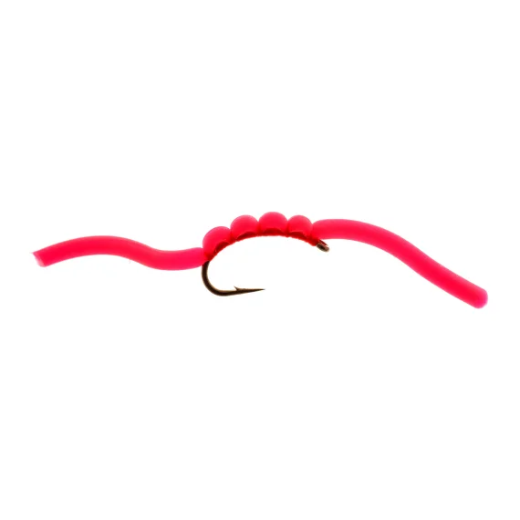 fishline202606091006123381612