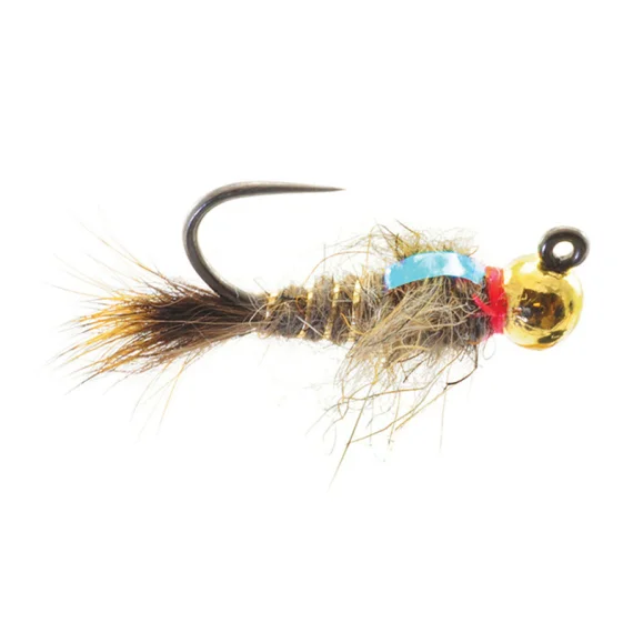 fishline202606091006403381704