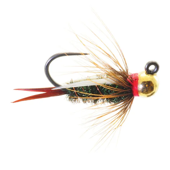 fishline202606091006413381708