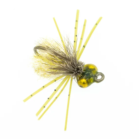 fishline202606091014513383275