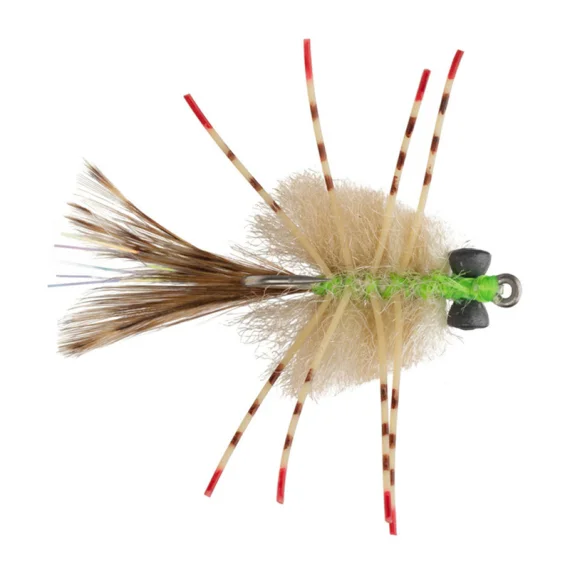 fishline202606091028053385802