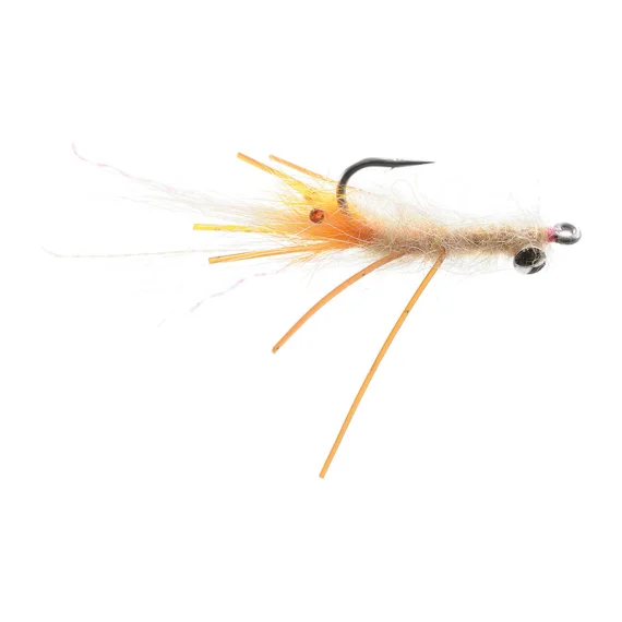 fishline202606091028383385896