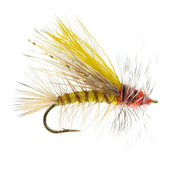 fishline202606091032123386626