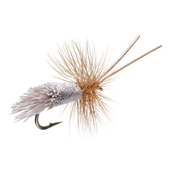 fishline202606091032283386690