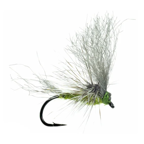 fishline202606091032523386768