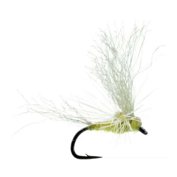 fishline202606091032583386788