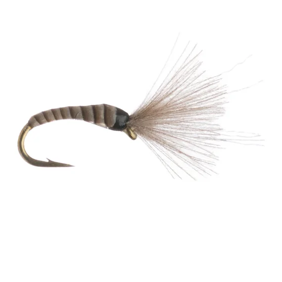 fishline202606091034153387055
