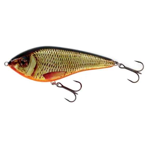 fishline202606091113003393255