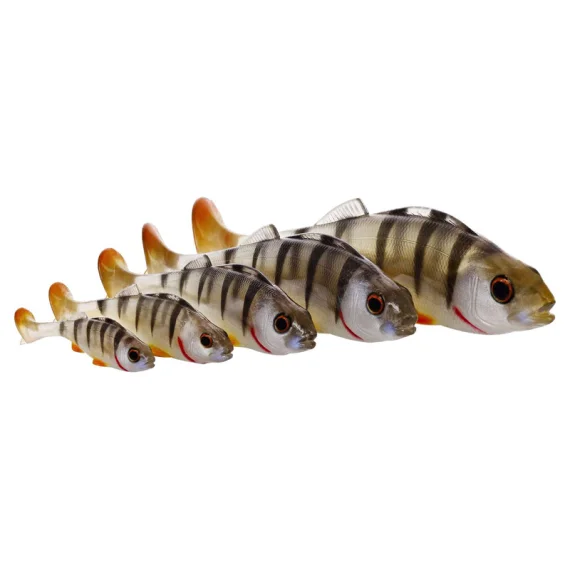 fishline202606091114333393531