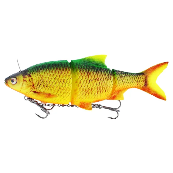 fishline202606091114443393567