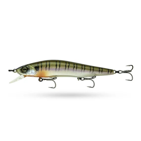 fishline202606091115353393750