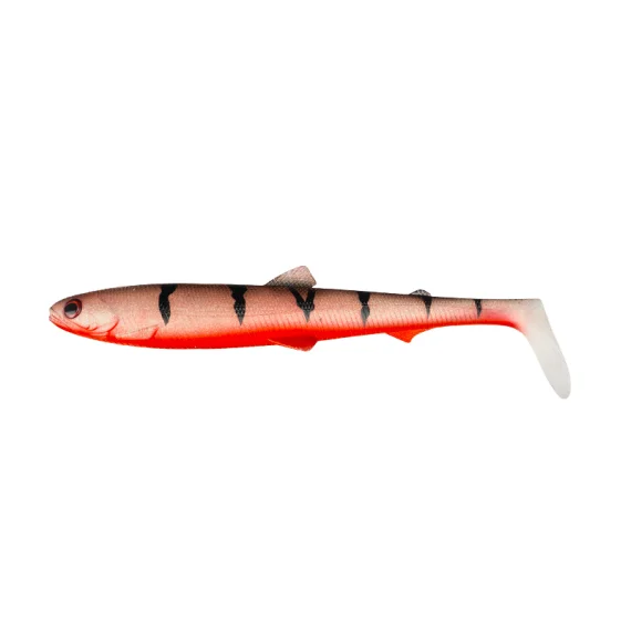 fishline202606091115553393823