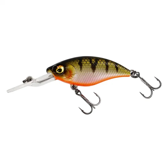 fishline202606091118583394168