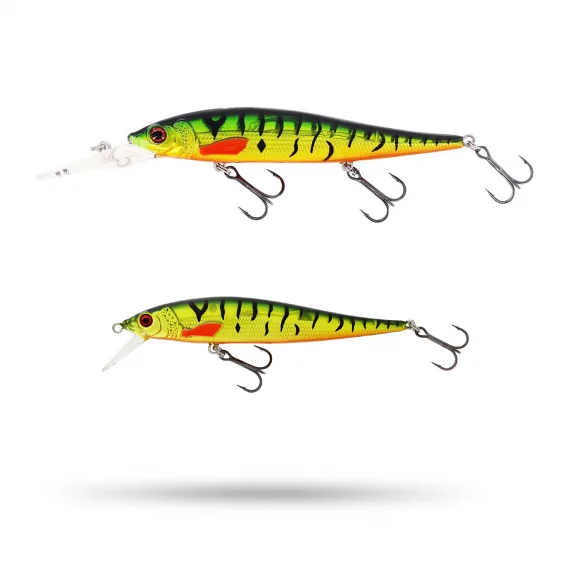 fishline202606091120453394479