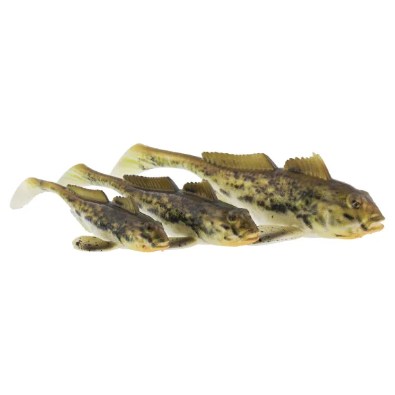 fishline202606091125503395371