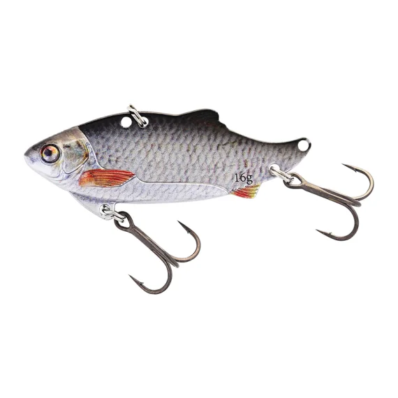 fishline202606091128363395815